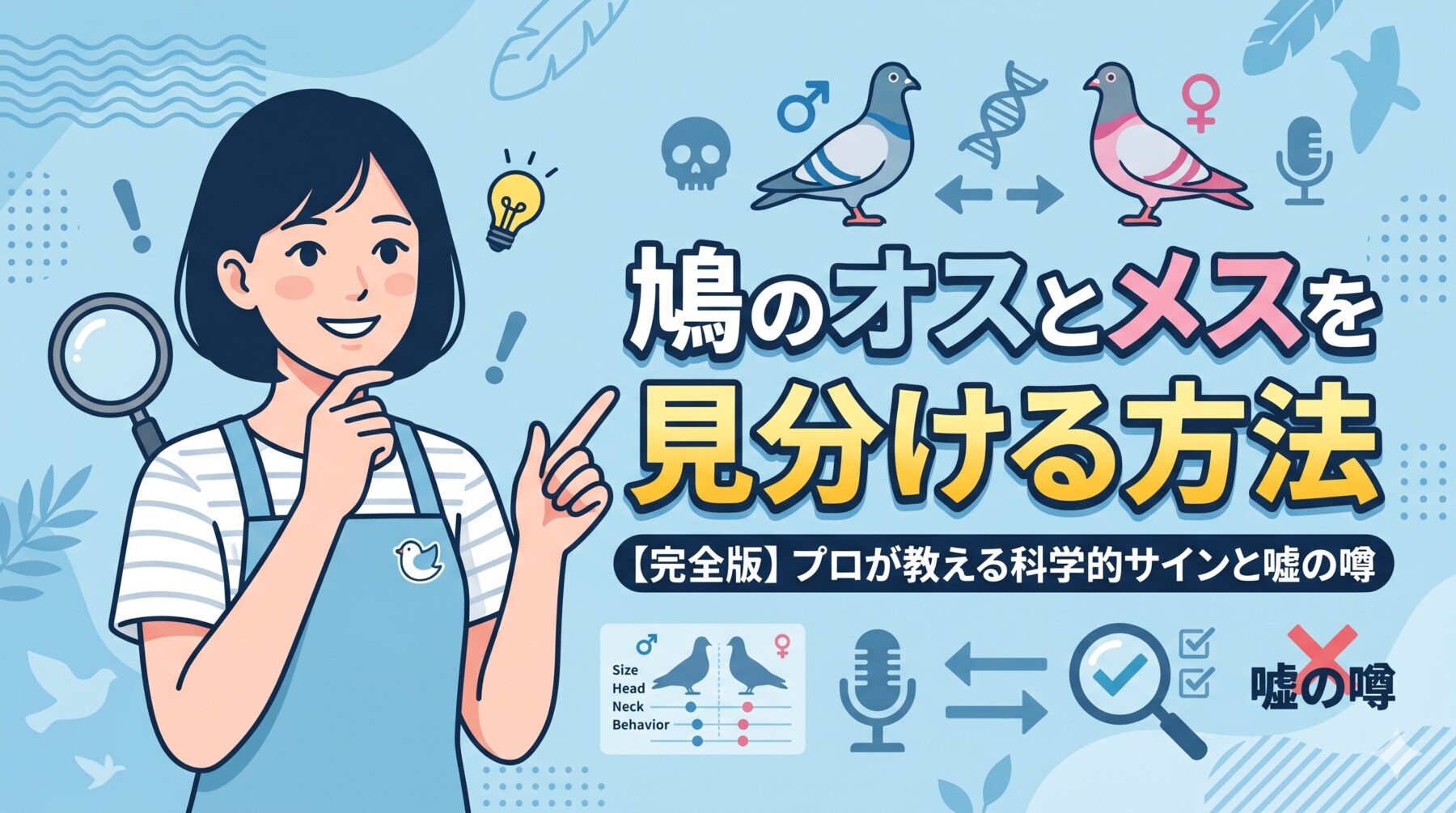 【完全版】鳩のオスとメスを見分ける方法｜プロが教える科学的サインと嘘の噂